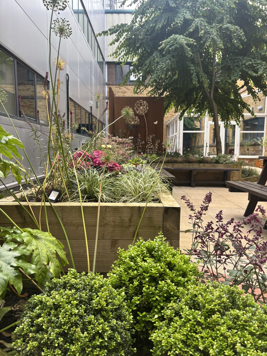 OldhamICU's tweet image. We officially opened our beautiful outdoor space and we are so pleased with the results 💚 #rehabilitation #intensivecare #outdoortherapy @NCareCharity @landladyjan @OldhamCO_NHS @NCAlliance_NHS @F_Parkinson_Ltd