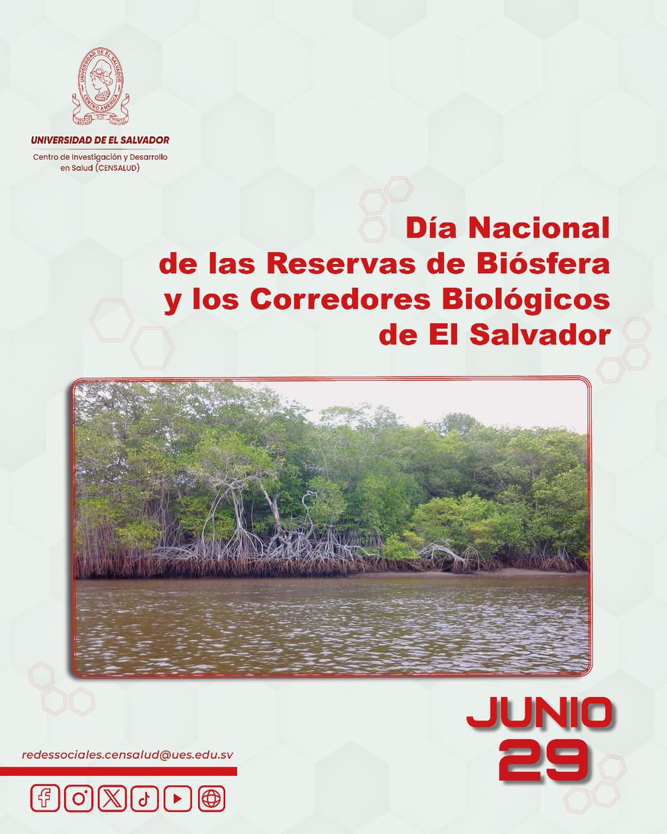 CENSALUD a través del Área de investigación del Medio ambiente y calidad de agua, se trabaja en propuestas de acciones para proteger la biodiversidad que integren las cuencas, entre otros.
#censaludues #saludmental #InvestigaciónCientíficaUES #medioambiente #ecosistemas