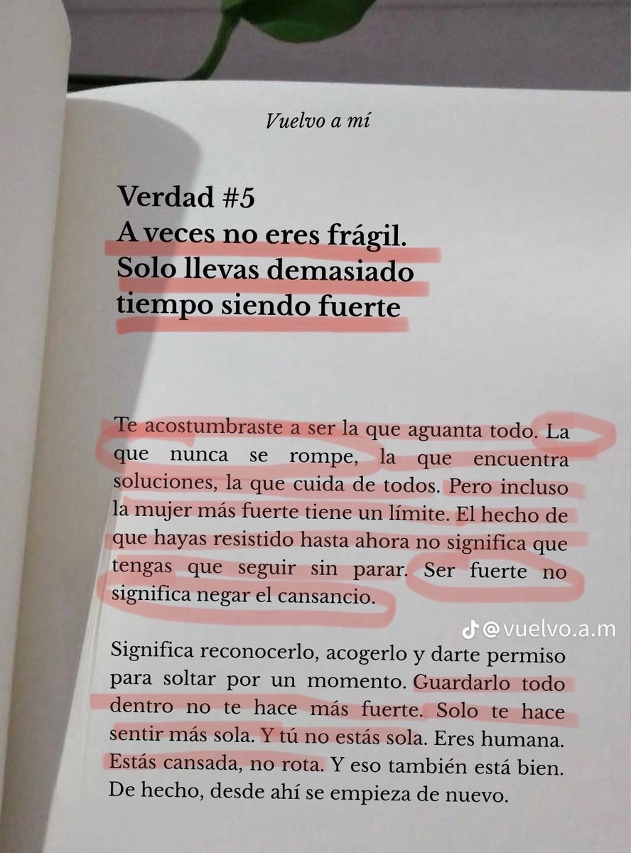 meligoette's tweet photo. https://t.co/KsK8gp9YHy