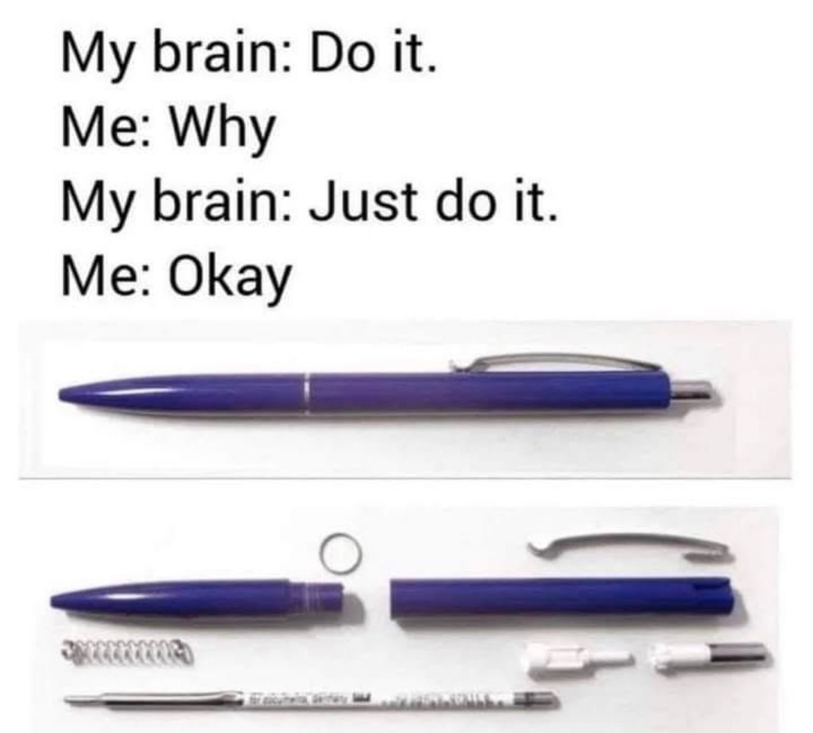 ADHDForReal's tweet image. 