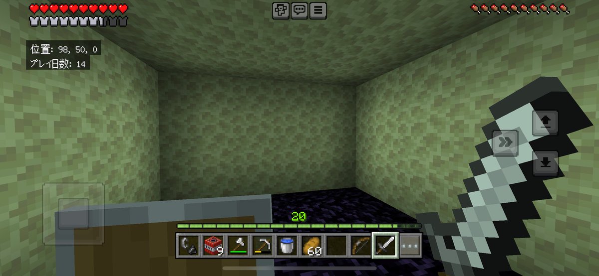 いろんな確率の中、1番安全なエンドインを行えたと報告させていただきます。運は我に味方した！今のうちにサッサと地上に出ましょう。
#Minecraft #マイクラ #終わりがすぐそこに