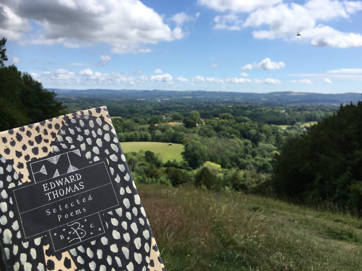 Day 29 #30DaysWild Noticing … poetic wild …