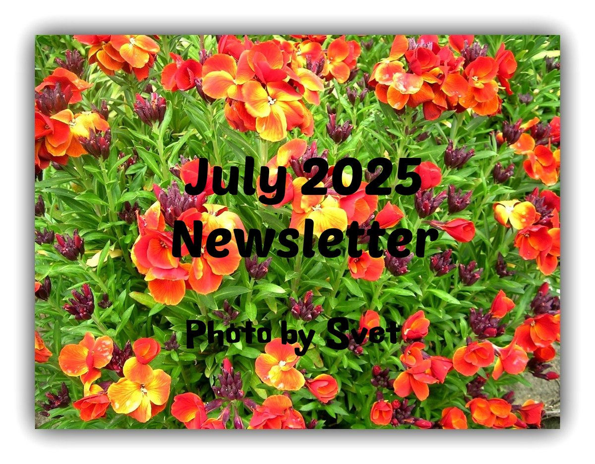 lymphsurvival's tweet photo. The July 2025 Newsletter has been posted --Best in Health, Robert #lymphoma --  (link: https://t.co/SSeNVa3Iri) https://t.co/VxL4vhcryD