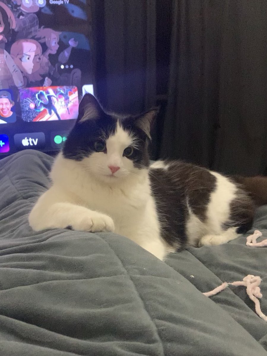 hey babie…..u come here often………