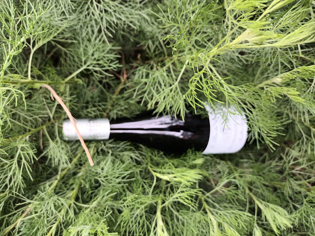 vaness606's tweet photo. Vins de Loire, le voyage des sens, l'abus d'alcool est dangereux pour la santé à consommer avec modération, @vinsdeloire.officiel #VinsdeLoire #DécouverteVinsdeLoire Sampleo https://t.co/qJ73vW9tfN
