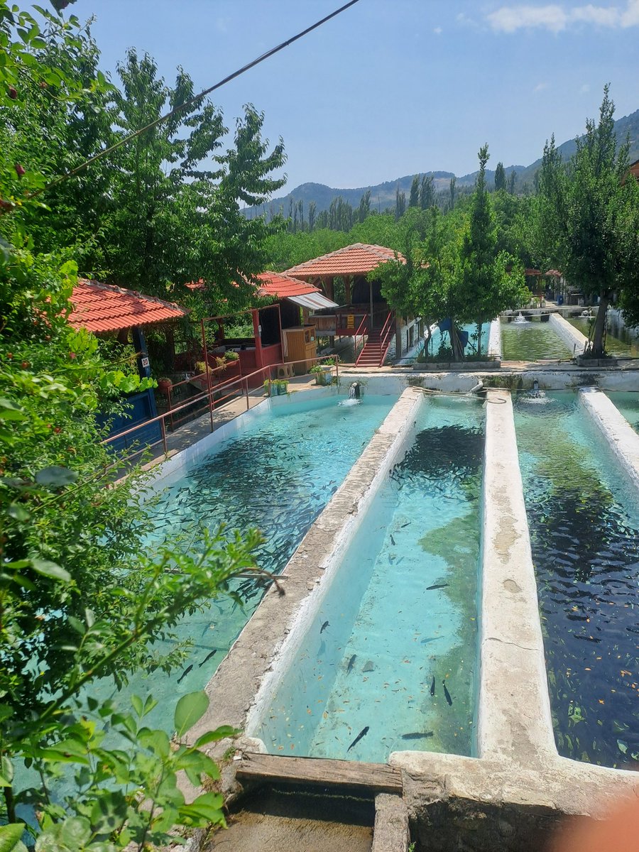 Bucak Kestel Pınarbaşı balık resturant  balık mahane havası şahane