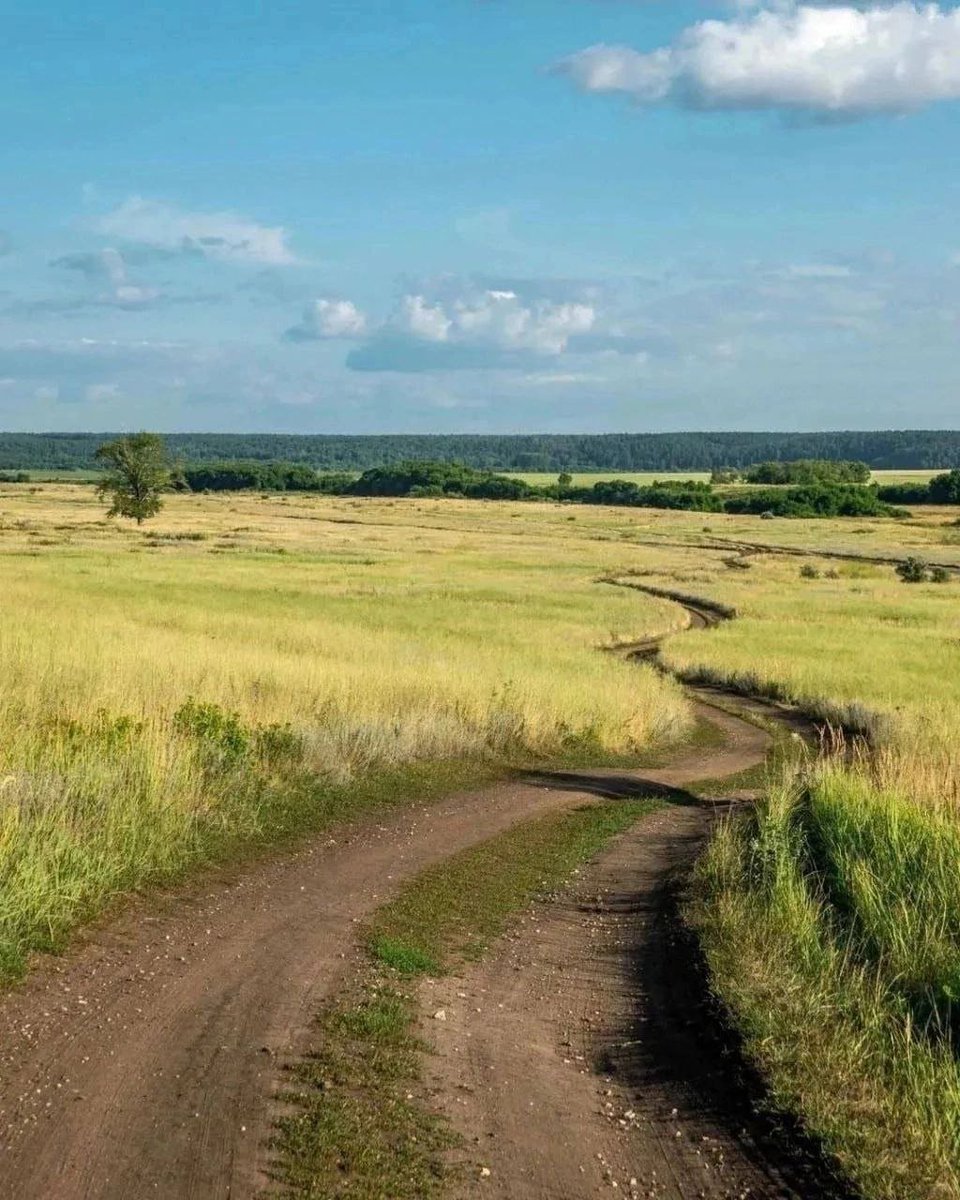 Dr_C_Becker's tweet photo. 🇷🇺 Das ist auch mein geliebtes Russland
Region #Twer - 300 km hinter #Moskau - endlose Weite - welch ein Segen 😍
#Russland #Россия #Тверь #welcometorussia #BeautifulRussia 💖 https://t.co/AdMUGRcrox