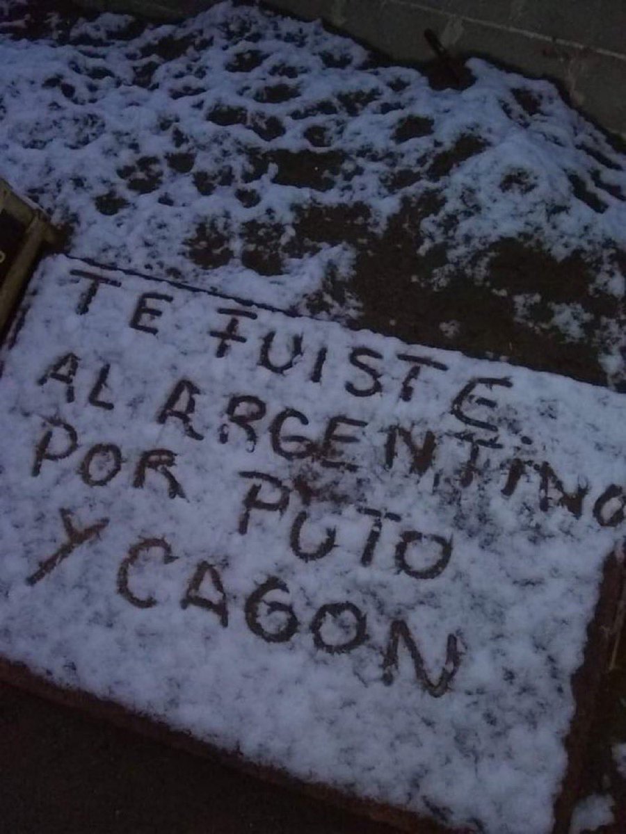 LLEGÓ LA NIEVE A MENDOZA
