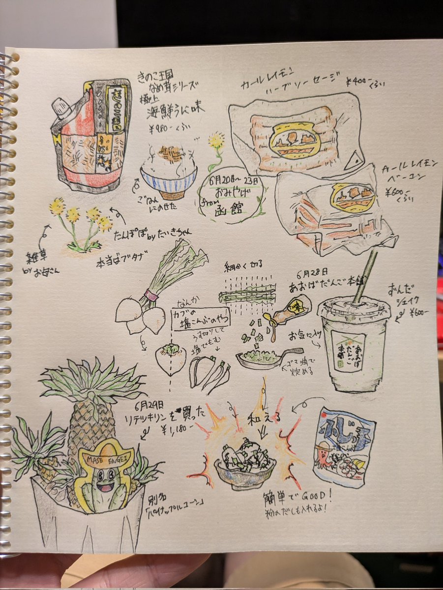 shijimi_cham's tweet photo. 母親のマネして、気が向いた時に描く絵日記を始めた♪ https://t.co/G3qrWLcgHU