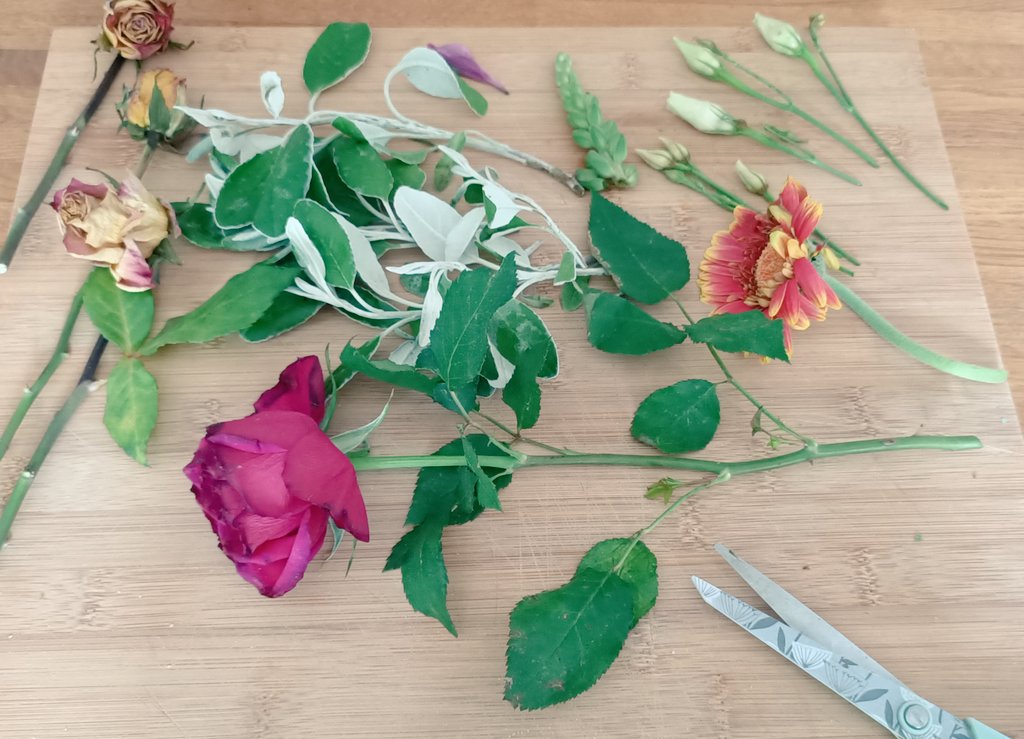 CarolynDActor's tweet image. Hope it's a fabulous Sunday for you all💖Let's have a Sunday #Wellbeing day, do what makes you feel good, I've started with #yoga #meditation, looking after pets, rescued a little spider from my sink, saving some birthday flowers to dry, press &use in art, walk in nature,relax!