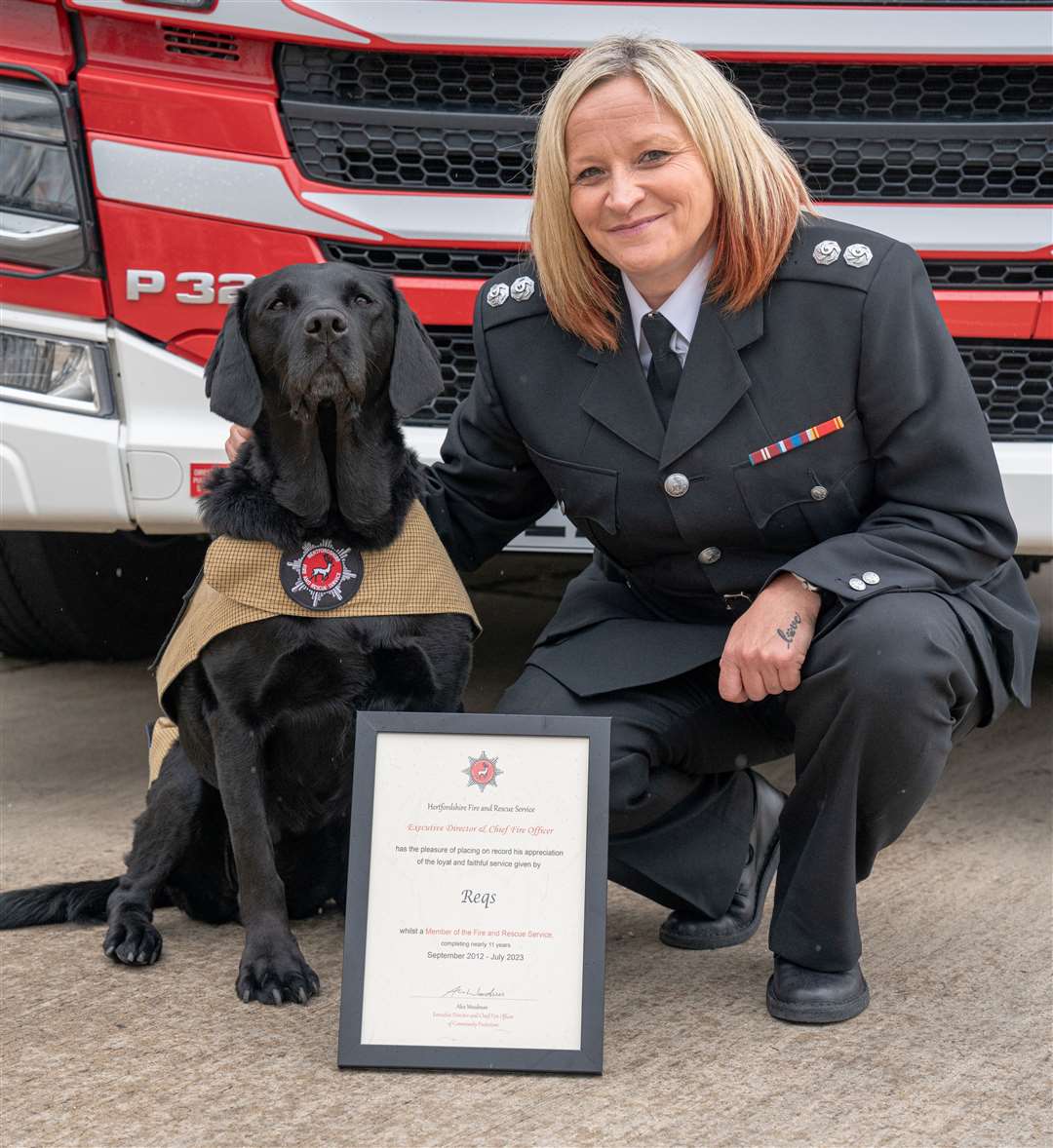 UK Fire & Rescue Services K9 Memorial tweet media