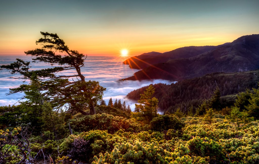 Good news! Utah Senator Mike Lee has removed his public lands sell-off language from the Senate budget reconciliation bill. More details will follow--we know our work is not done--but for today the outdoor community can be proud of speaking out and creating change.