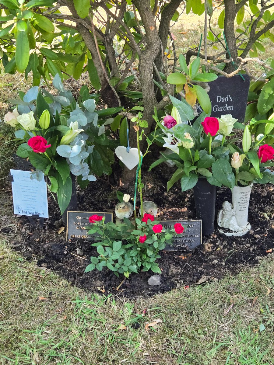 BlonDee247's tweet photo. #forever39 #fathersday2025 #HappyHeavenlyBirthday
#ForeverMissed
#AlwaysRemembered 
#EternallyLoved
@bobbynum https://t.co/GeOEQpG6Eq