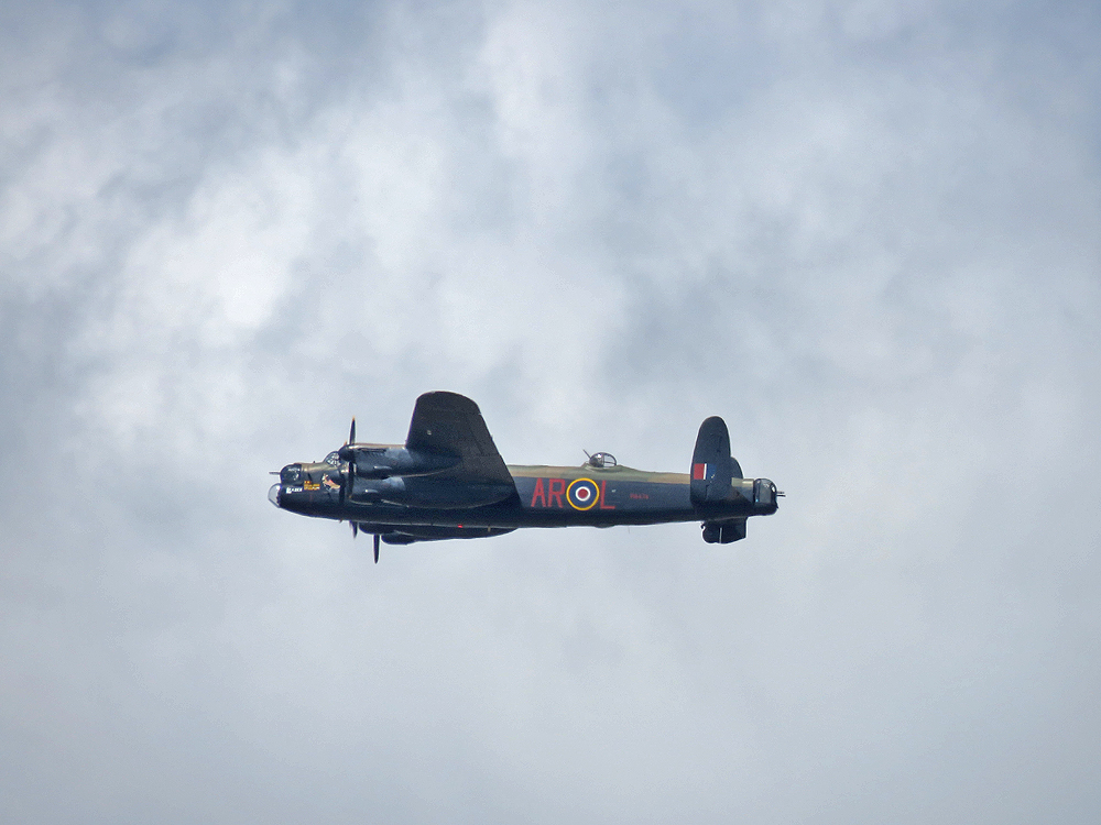 Draycotebirding tweet media