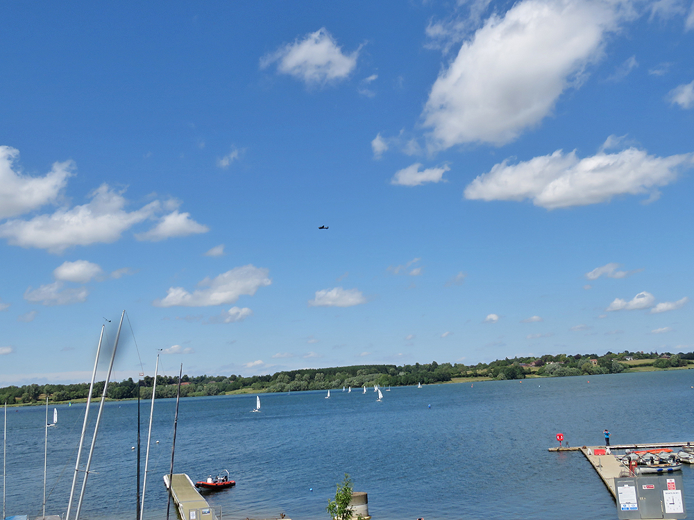 Draycotebirding tweet media