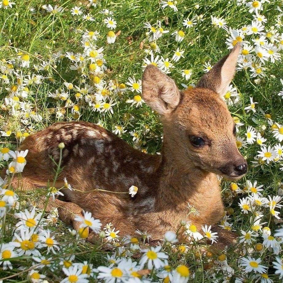 eru (ฬ์) (@makeshuausmile) on Twitter photo 