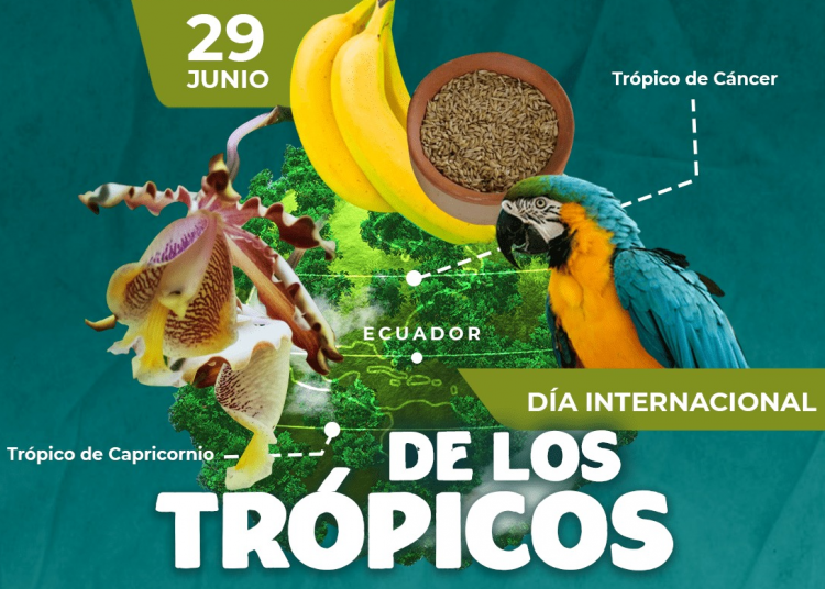 citmacuba's tweet image. 29 de junio-Día Internacional de los Trópicos
🟢abarcan el 40% de la superficie total del planeta
🟢albergan cerca del 80% de la biodiversidad del mundo
🟢enfrentan grandes retos: cambio climático, deforestación, la explotación maderera, urbanización y cambios demográficos
👇