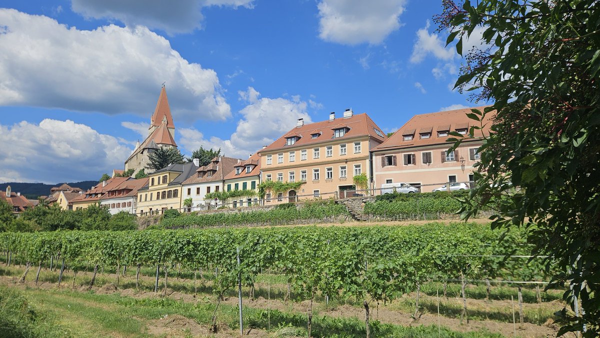 hocekm's tweet image. Wachau
