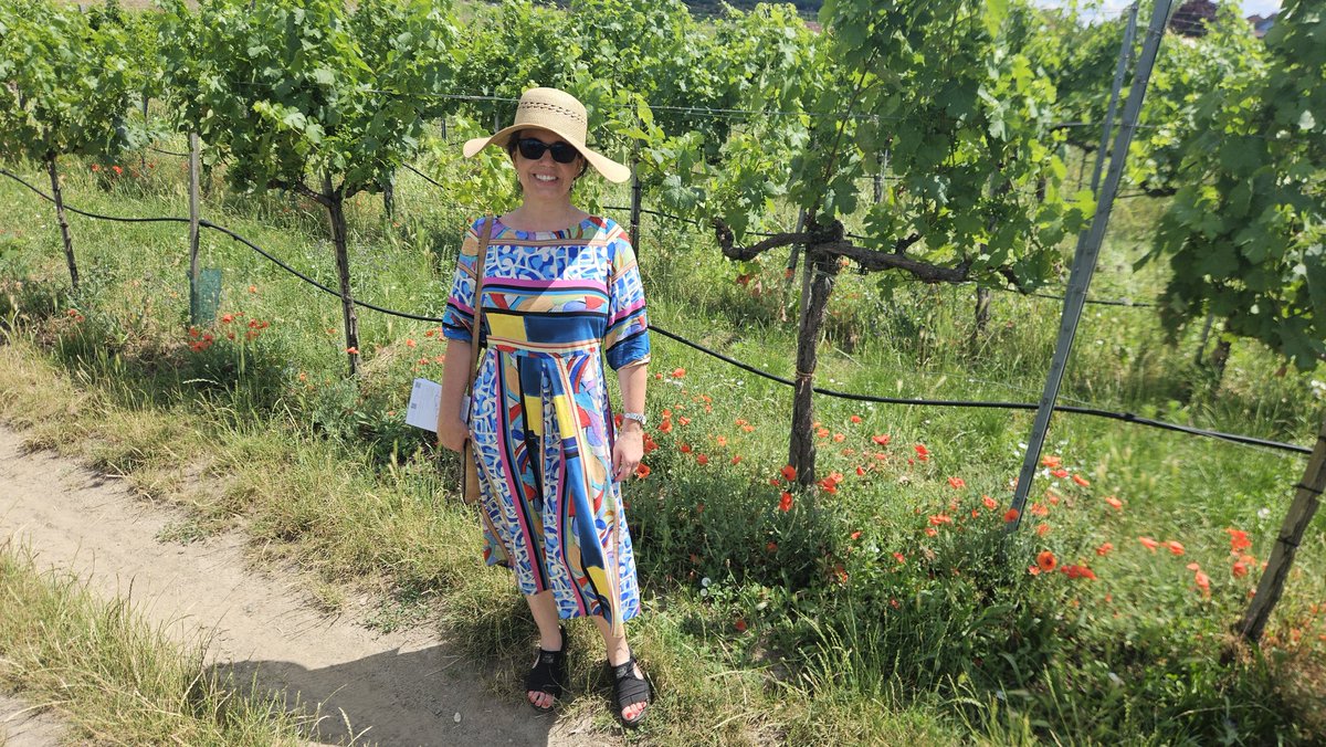 hocekm's tweet image. Wachau