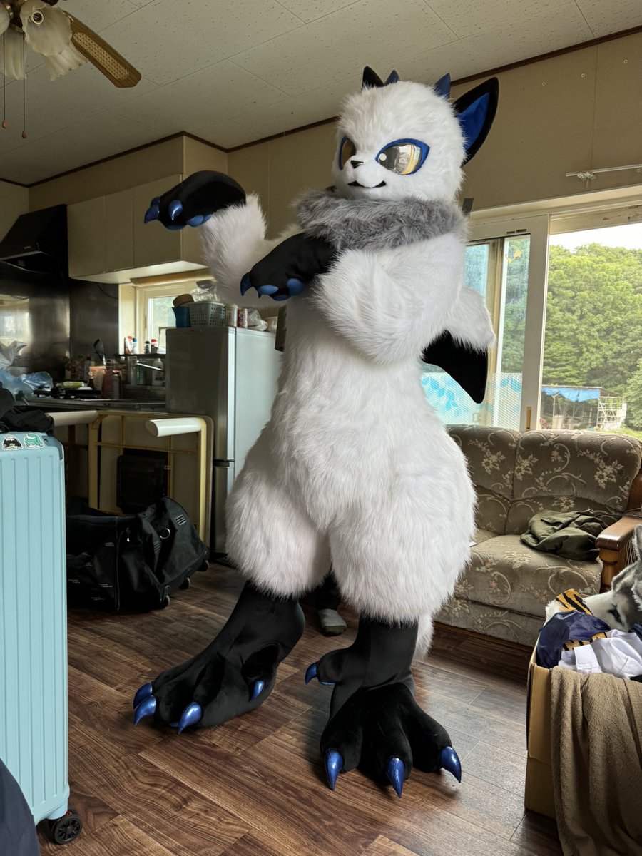 ステイル tweet media