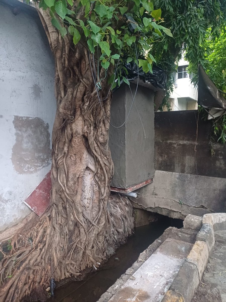 tv_mumbai's tweet image. Nale Ke Upar Bana Hotel Opp Cubic Mall Chembur

@mybmc 
@MumbaiPolice 

#mumbai #chembur #bmc #mumbainews #viral #viralvideo #MumbaiRain #mumbairains