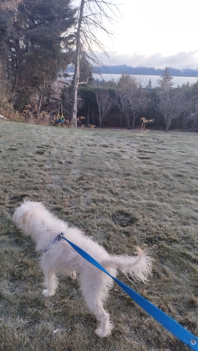 Dice tortafrita que no le sale la estalactita de pis, que al mediodía prueba denuevo.
📍Bariloche ,  -10 grados