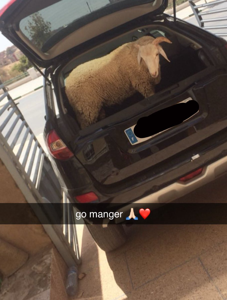 on était gênant mais par pitié j’ai jamais été aussi heureuse de ma vie qu’à cette époque #2017