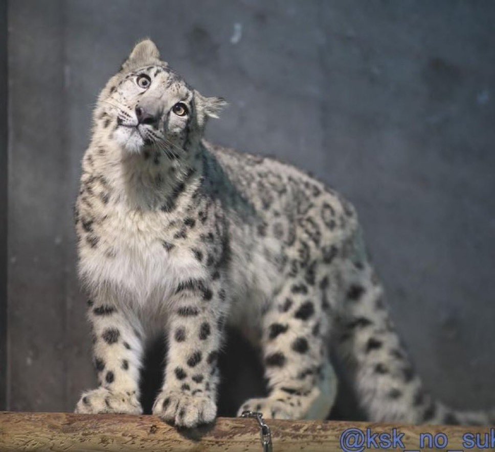 so nochmal sorry bin jz <a href="/zickentheater/">jeffina, bürgermeisterin v. jeffhausen</a> baii