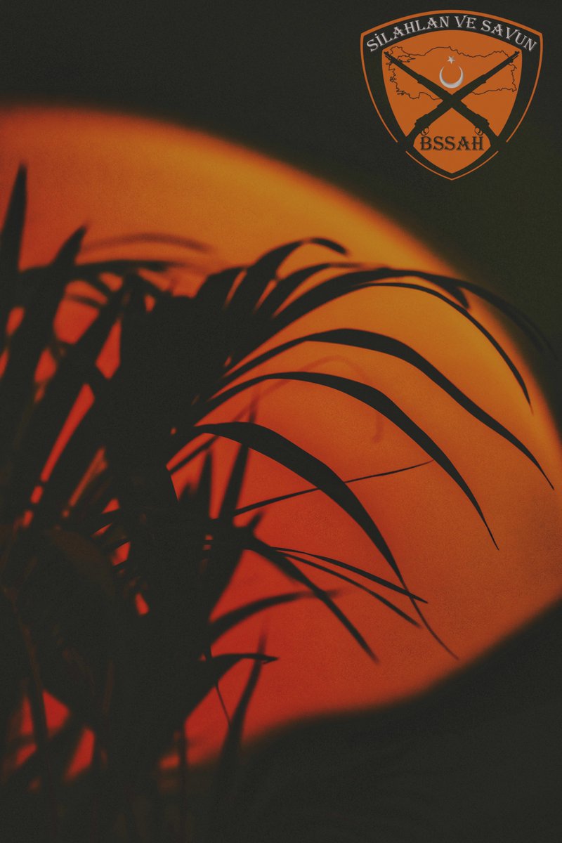 Uzun bir aradan sonra görüşmek üzere. ⚔️