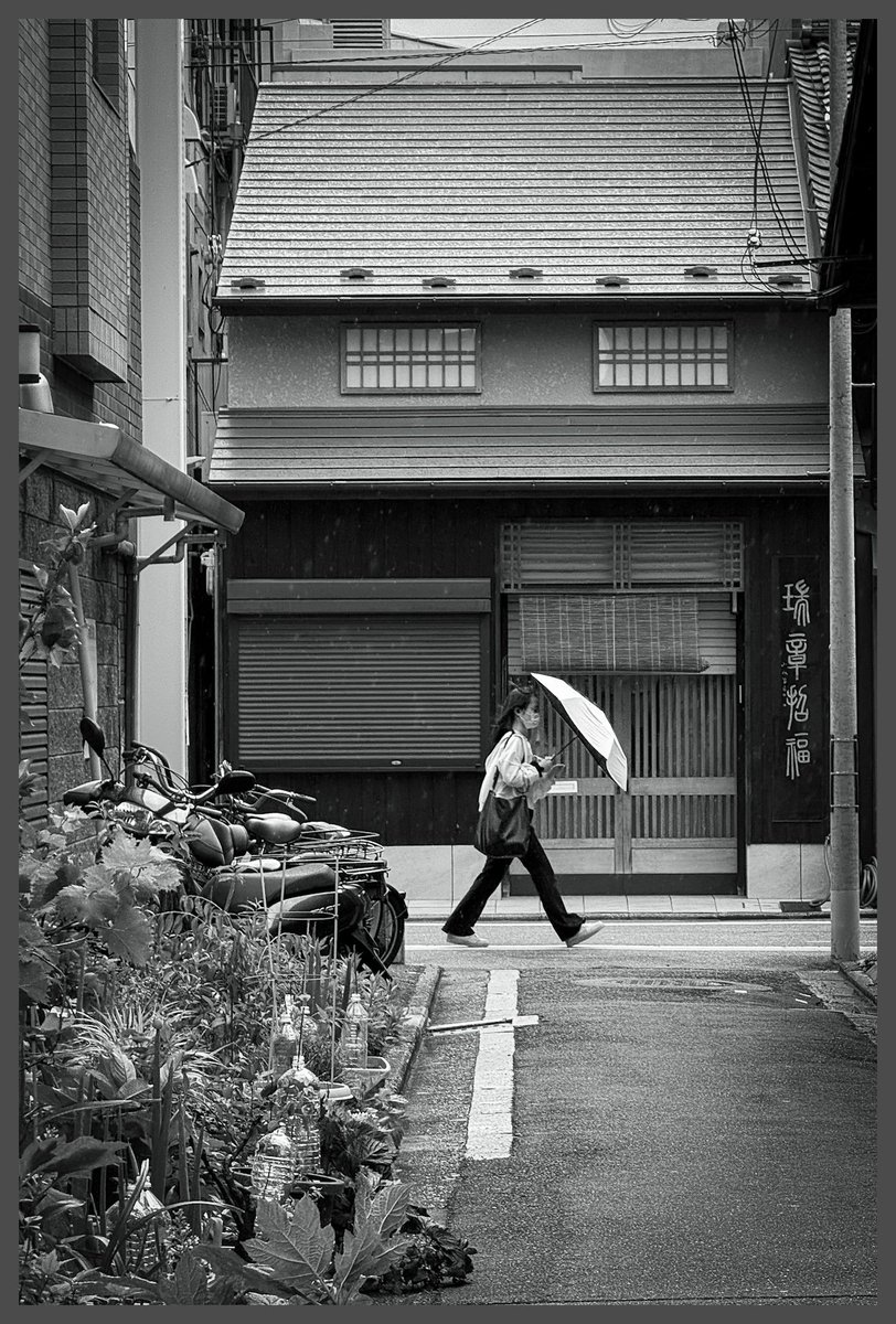 Macphil_TW's tweet photo. 京都，和台南很像。

一座古老的城市，卻又融合現代，
那種「只要往地下挖掘，
就會出現好幾層古蹟」的感覺，
車水馬龍的大馬路邊，
轉身進入小巷，
又是古老的屋舍，
人間煙火氣息。

又要再次出門啦！
這次除了迎來大阪梅田年度鳥展，
也再度安排來這裡，
繼續挖掘更多有趣的事物。

#京都
#Kyoto https://t.co/WBMGzjFubS
