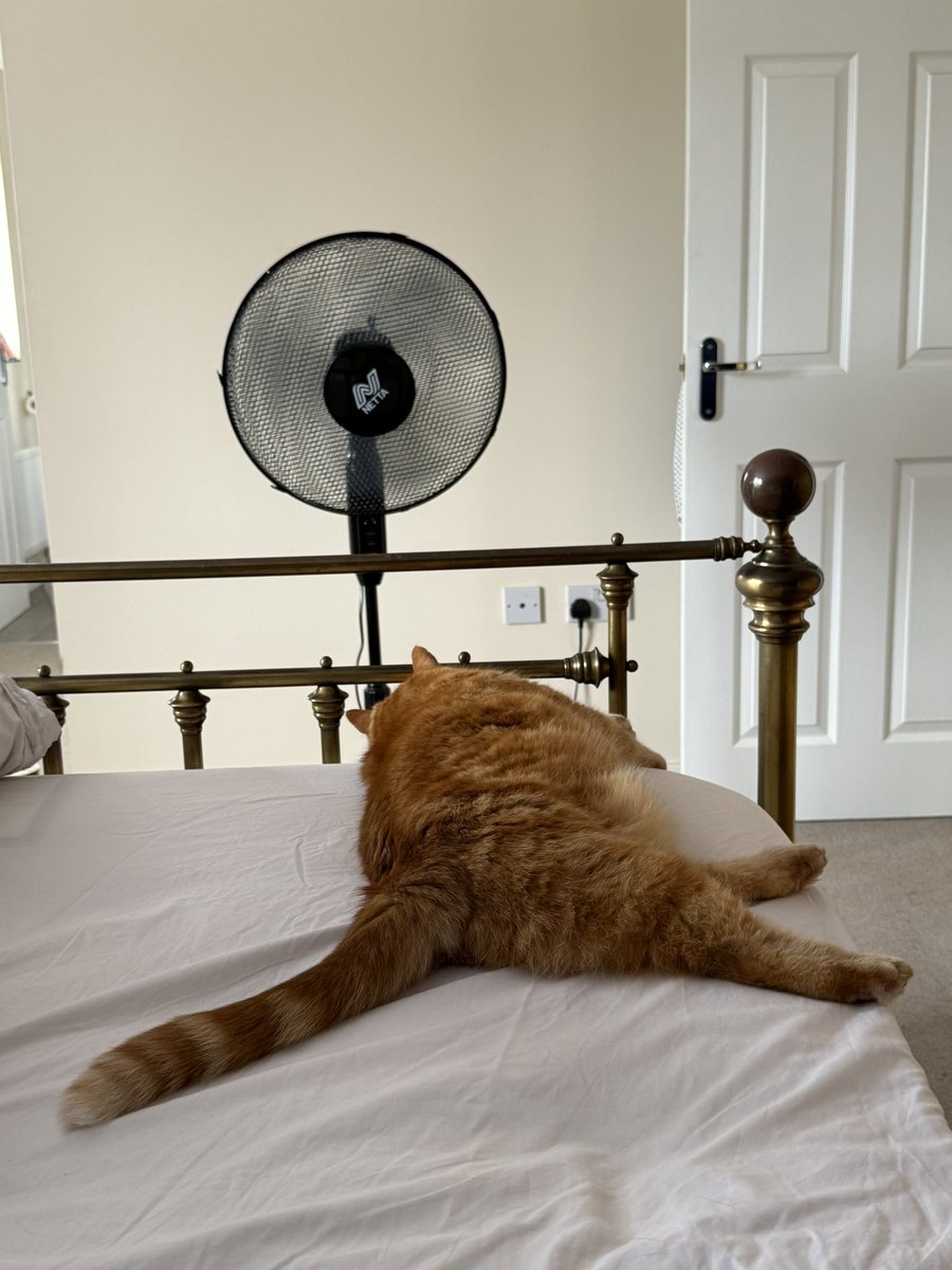 I used to be scared of the fan but a sticky 30 degrees has helped me get over it.  #BraveTony