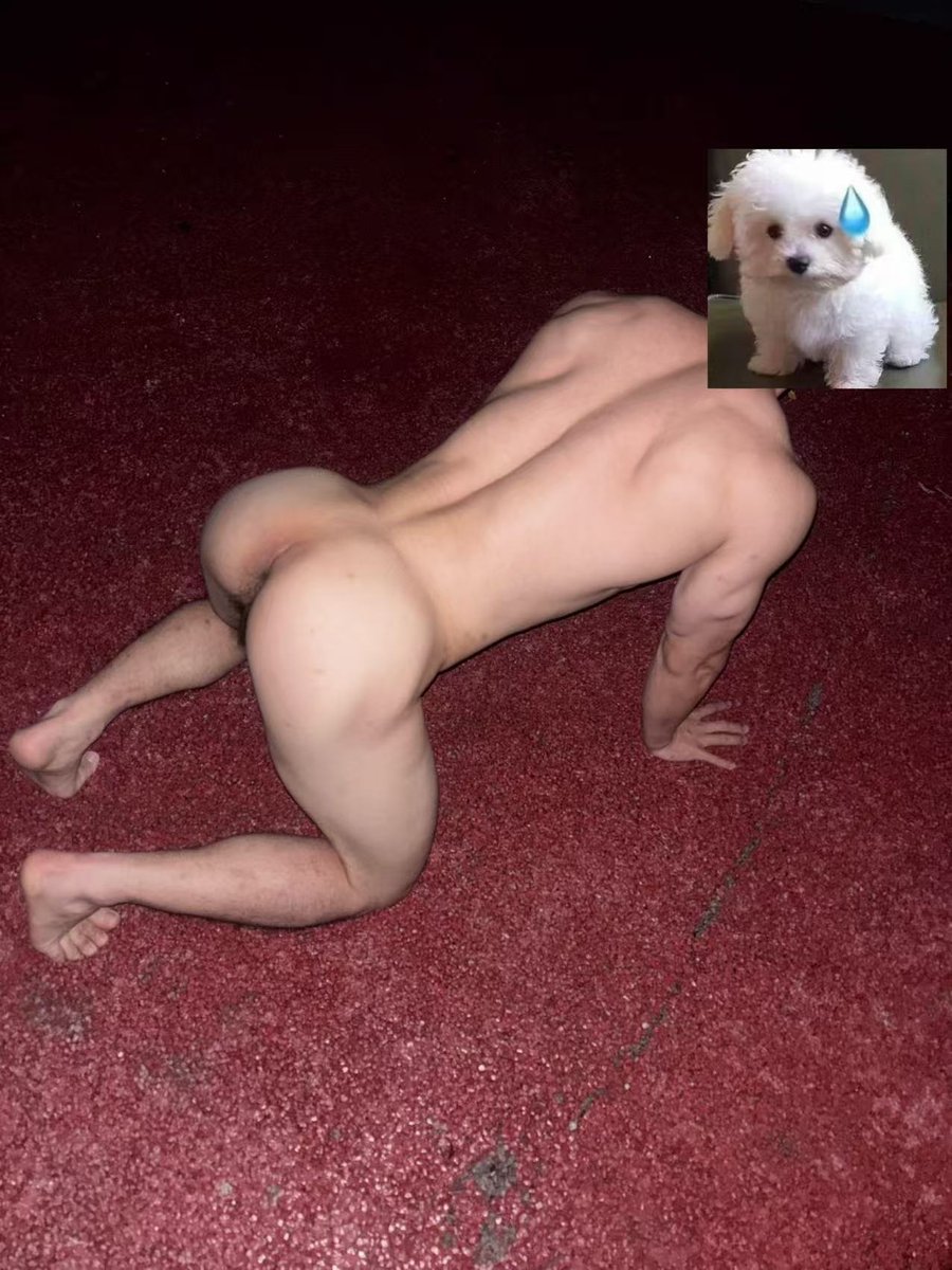 家奴+🐶儿子 tweet media