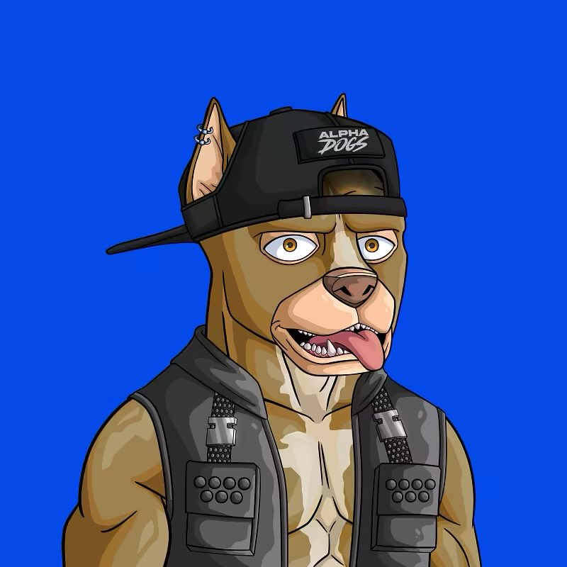 <a href="/Emoneybko127/">Emoneybko127🦍</a> <a href="/ernestleedotcom/">Ernest Lee 🦍</a> <a href="/ApeAlphaDogs/">ALPHA DOGS ON APE</a> <a href="/ApeChainHUB/">ApeChainHUB</a> <a href="/Apechain_Africa/">Apechain Africa</a> <a href="/TokenGators/">TokenGators 🐊</a> Let’s go <a href="/ernestleedotcom/">Ernest Lee 🦍</a> let’s go