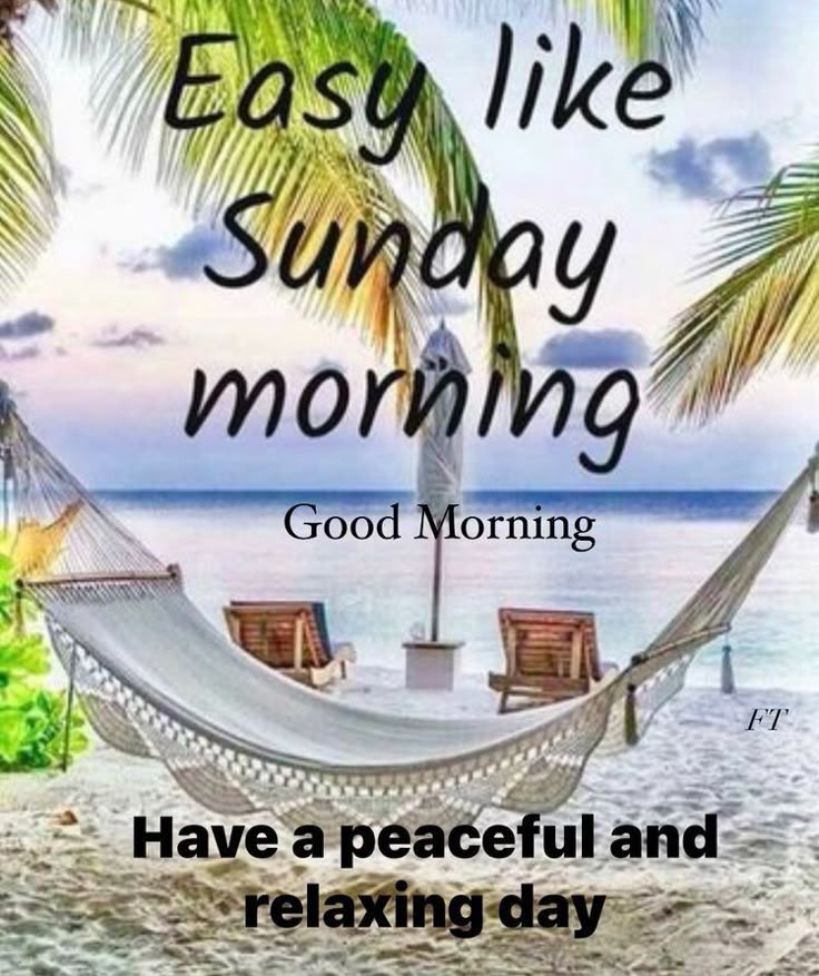 Happy Sunday! Wish every day could be easy like a Sunday morning! Have a blessed one! 🙏🩵☀️