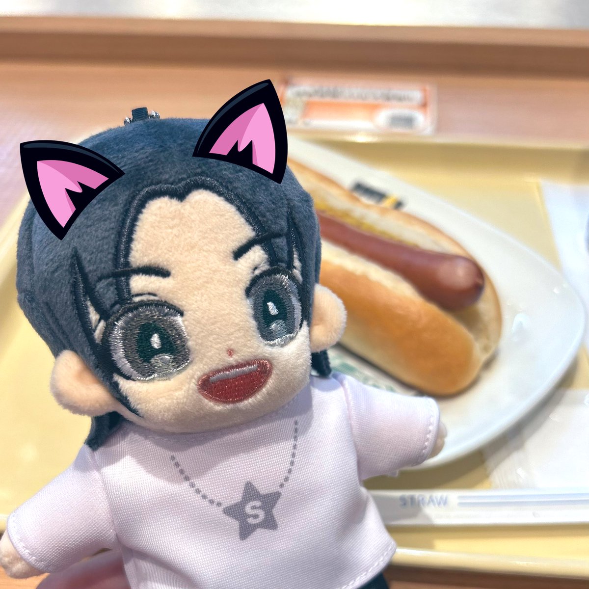 eislichter_'s tweet photo. 今日はこちら！
推しと🌭を会わせました https://t.co/xD4FF6JSQO
