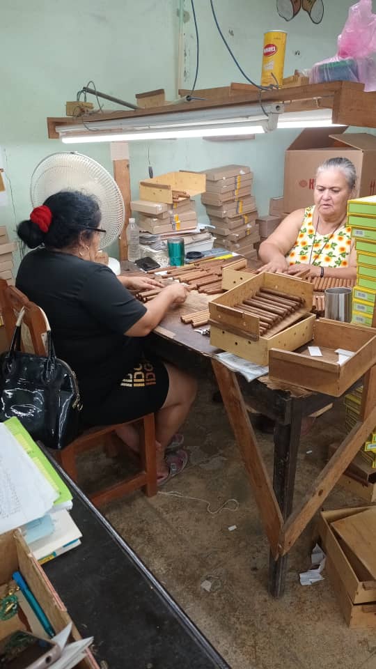 TabacoTorcidoVC's tweet photo. Los trabajadores de la UEB Tabaco Torcido Camajuani redoblan esfuerzos para dar cumplimiento a los planes técnicos de la UEB. #JuntosLoLogramos #VamosConTodo https://t.co/8s2Oje0YeP