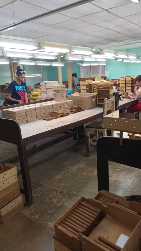 TabacoTorcidoVC's tweet photo. Los trabajadores de la UEB Tabaco Torcido Camajuani redoblan esfuerzos para dar cumplimiento a los planes técnicos de la UEB. #JuntosLoLogramos #VamosConTodo https://t.co/8s2Oje0YeP