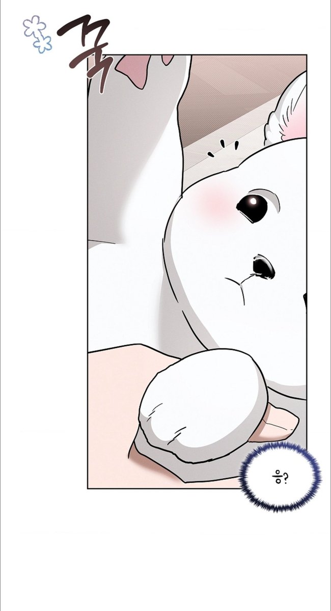 ilairow's tweet image. sooo cuteee!! 
it looks like chiyoung got dark circles under his eyes for not transforming into wolf form, because hodu is still scared of him... 
#강아지는건드리지마라 #PawsClaws