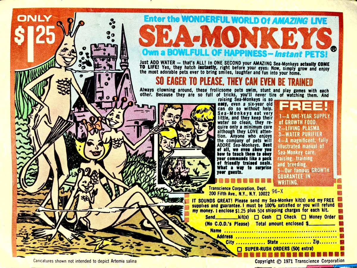 magictoasterfi1's tweet photo. Just add water — create live instant pets!

#vintagenovelty #mailordernovelty #funfactory #captaincompany #johnsonsmith #mailorderad #comicbookads #seamonkeys https://t.co/lb3szO9K9W