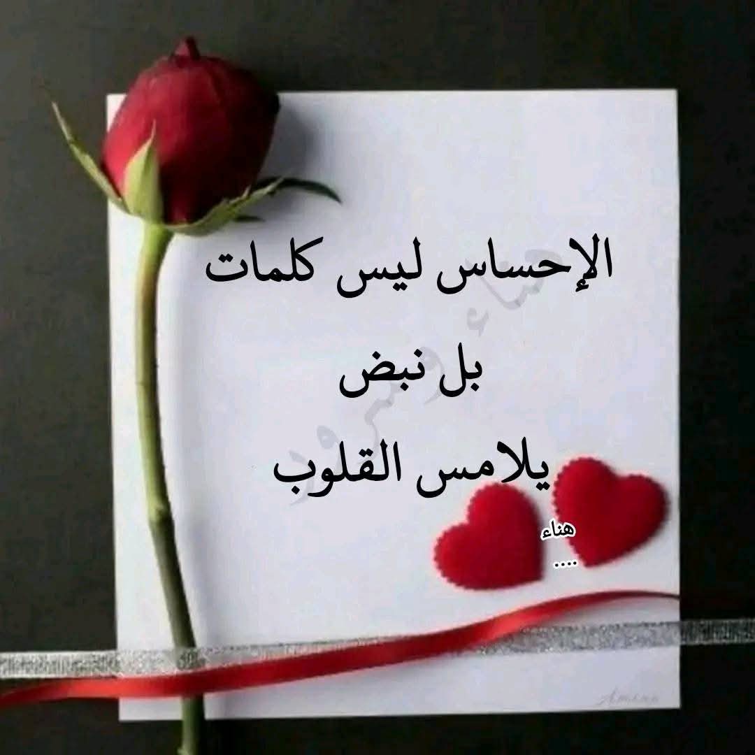 ولاء (@khdkhthn23387) on Twitter photo 