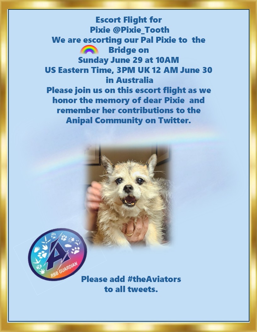I'm on my way to #theAviators
To help escort my Bestie Pix <a href="/Pixie_Tooth/">Pixie Tooth 🌈💔</a> to the Rainbow Bridge.  All pals are welcome