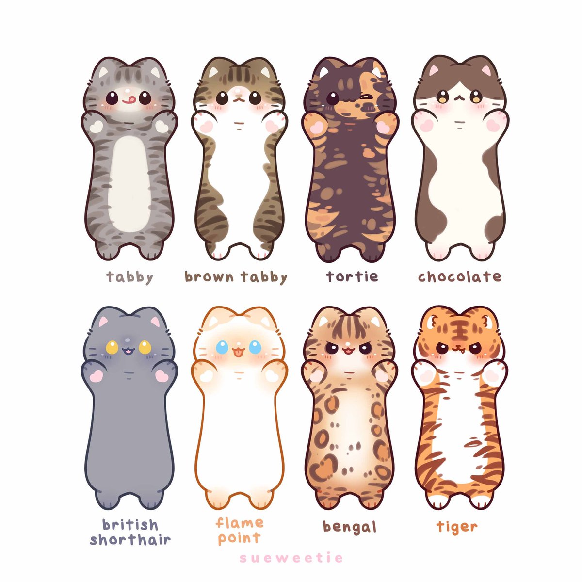 _sueweetie's tweet image. Many many cats :3