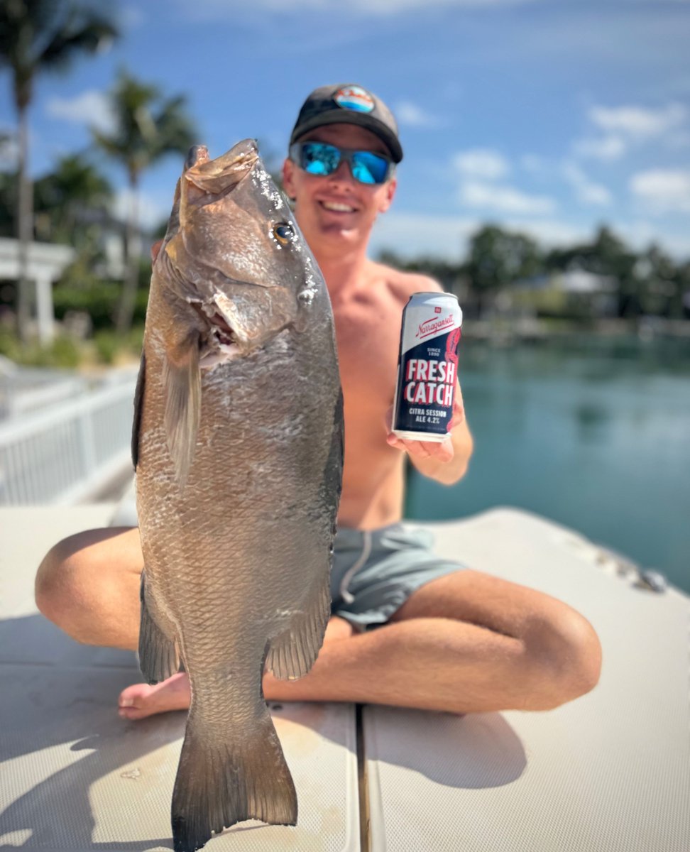 Gansettbeer's tweet image. Two Fresh Catches of the day!
📸 @spencerfaucher
#fishing #FreshCatch #beer #boat #narragansett #gansettbeer #ocean #fish
