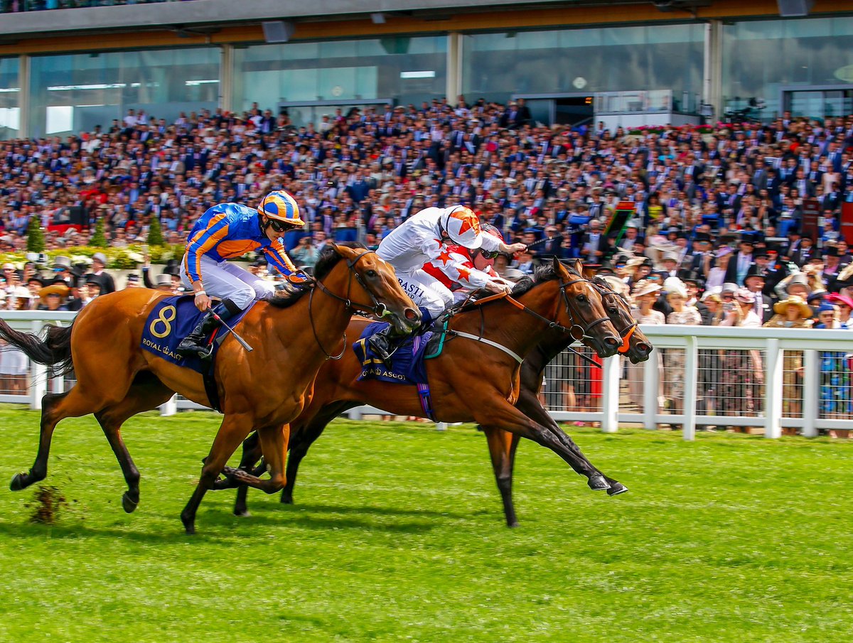 An updated pedigree for Lambourn who emulates his sire Australia <a href="/coolmorestud/">Coolmore</a> and grandsire Galileo by adding victory in today’s Irish Derby <a href="/curraghrace/">The Curragh Racecourse</a> to his <a href="/EpsomRacecourse/">Epsom Downs Racecourse</a> success.
The Coolmore homebred is out of their multiple Group placed mare Gossamer Wings - the