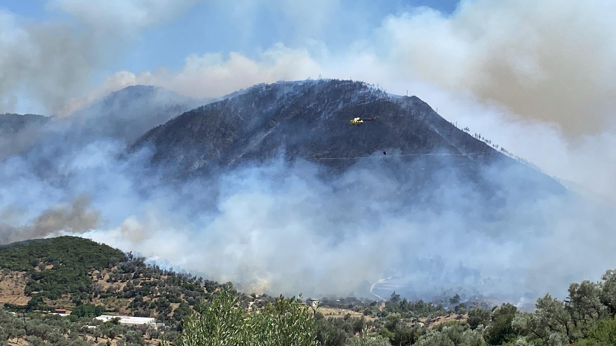 Artık çam dikmeyin! Ne olur dikmeyin.
Kereste için siz her yere kızıl çam dikiyorsunuz, sonra hepimiz yangın biçiyoruz. Yapmayın, etmeyin, bilime inanın, ezberinizi bozun. Lütfen!

#izmir #yangın