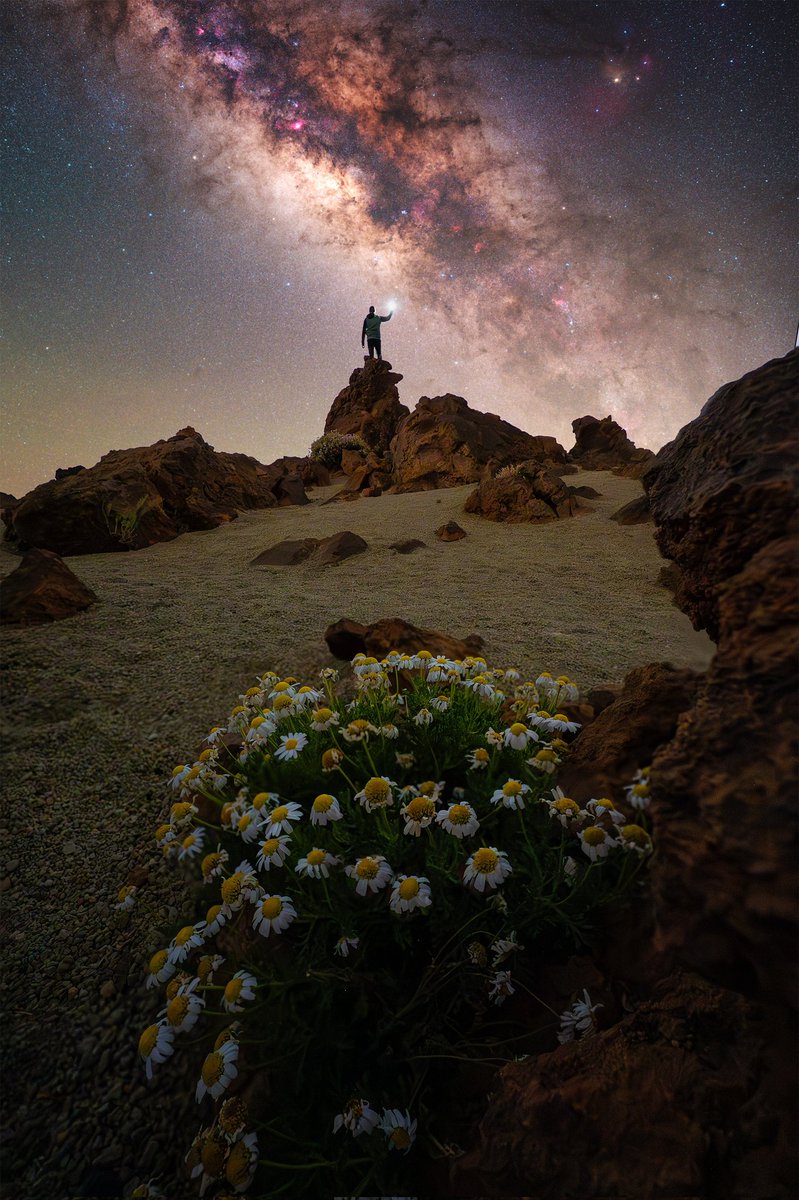 Efrén Yanes (@zeworldphoto) on Twitter photo Disfrutando de una noche de condiciones espectaculares para observar estrellas en el Parque Nacional del Teide isla Disfrutando de una noche de condiciones espectaculares para observar estrellas en el Parque Nacional del Teide isla