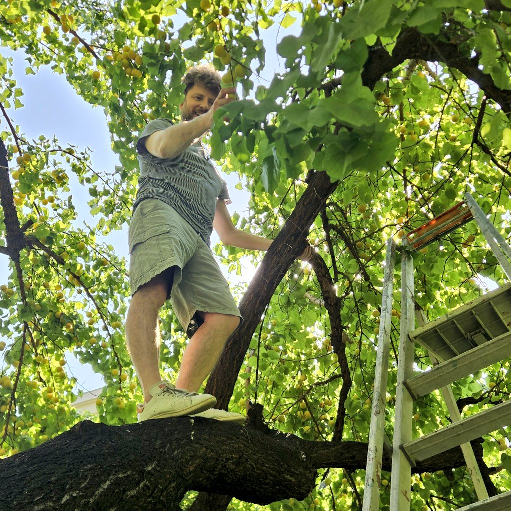 Olivier Decottignies tweet media