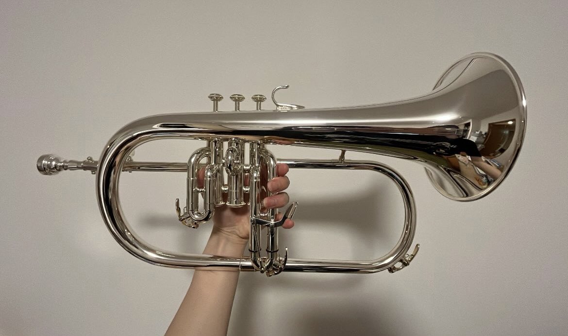 そういえば。
これで幅も広がりそう！たくさん使いたいです✨