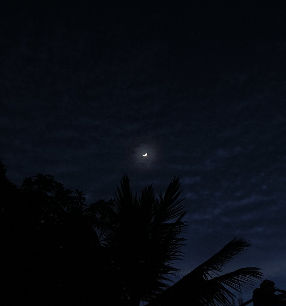 فرحات tweet media