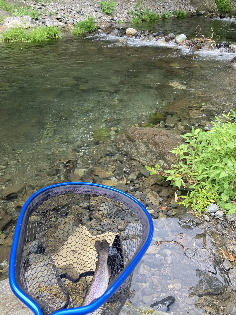 watarutoshizen's tweet photo. 久しぶりにプール🏊じゃあないところで釣りをしました。夏☀️は、涼しく釣り🎣 https://t.co/aQnrRN7PHO